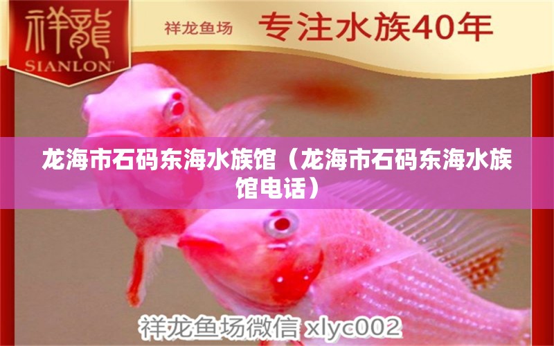 龙海市石码东海水族馆（龙海市石码东海水族馆电话） 全国水族馆企业名录