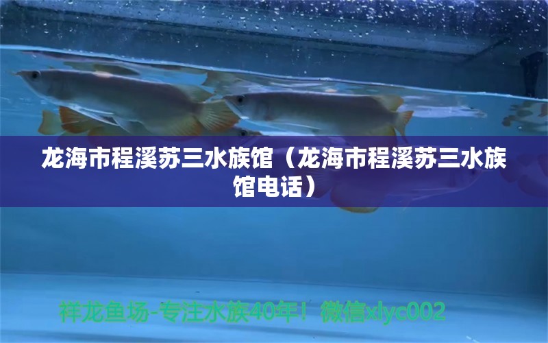 龙海市程溪苏三水族馆（龙海市程溪苏三水族馆电话）