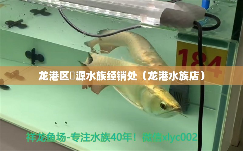 龙港区湦源水族经销处（龙港水族店）