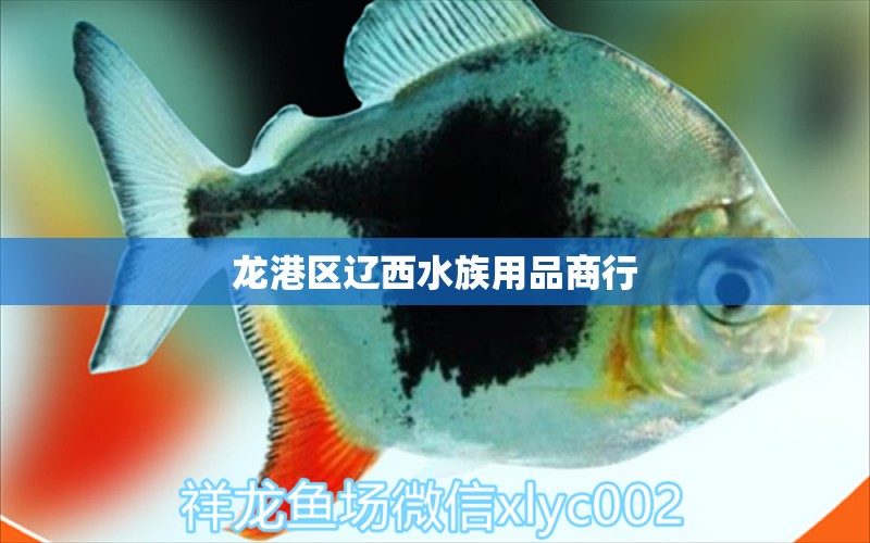 龙港区辽西水族用品商行