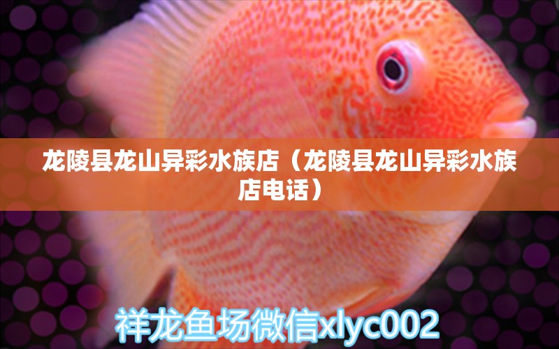 龙陵县龙山异彩水族店（龙陵县龙山异彩水族店电话）