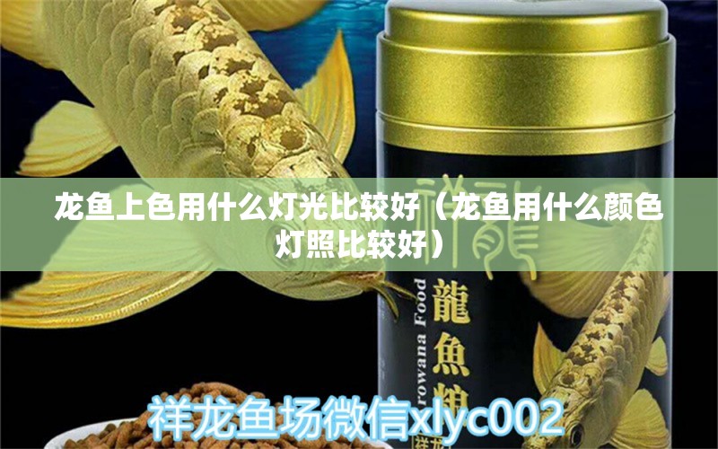 龙鱼上色用什么灯光比较好（龙鱼用什么颜色灯照比较好） 观赏鱼