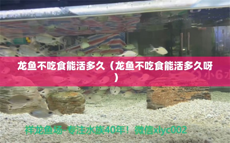 龙鱼不吃食能活多久（龙鱼不吃食能活多久呀） 祥龙水族医院