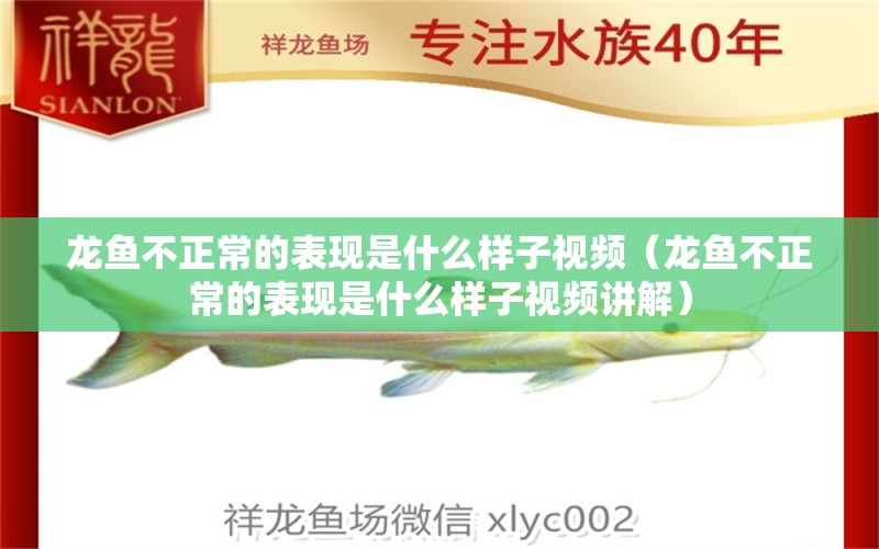 龙鱼不正常的表现是什么样子视频（龙鱼不正常的表现是什么样子视频讲解）