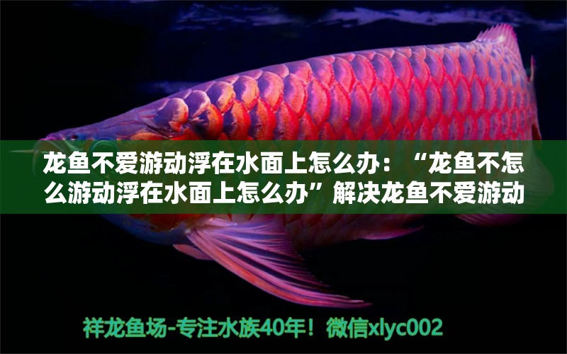 龙鱼不爱游动浮在水面上怎么办：“龙鱼不怎么游动浮在水面上怎么办”解决龙鱼不爱游动的问题 龙鱼百科 第2张