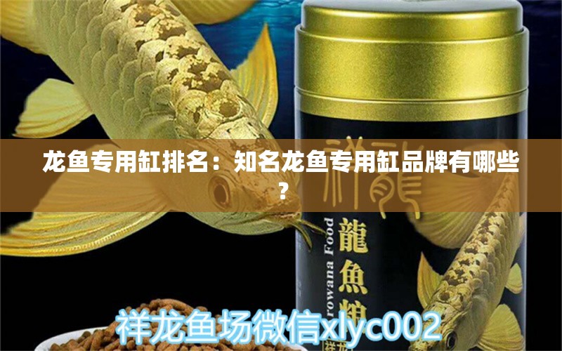 龙鱼专用缸排名：知名龙鱼专用缸品牌有哪些？