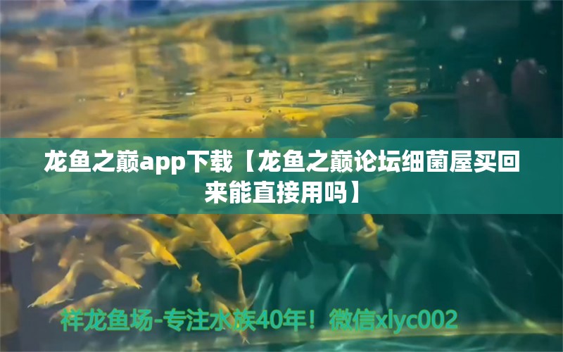 龙鱼之巅app下载【龙鱼之巅论坛细菌屋买回来能直接用吗】