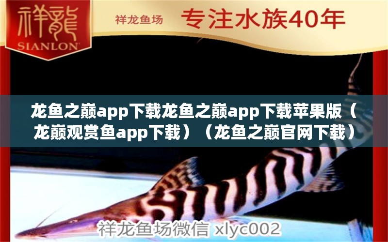 龙鱼之巅app下载龙鱼之巅app下载苹果版（龙巅观赏鱼app下载）（龙鱼之巅官网下载）