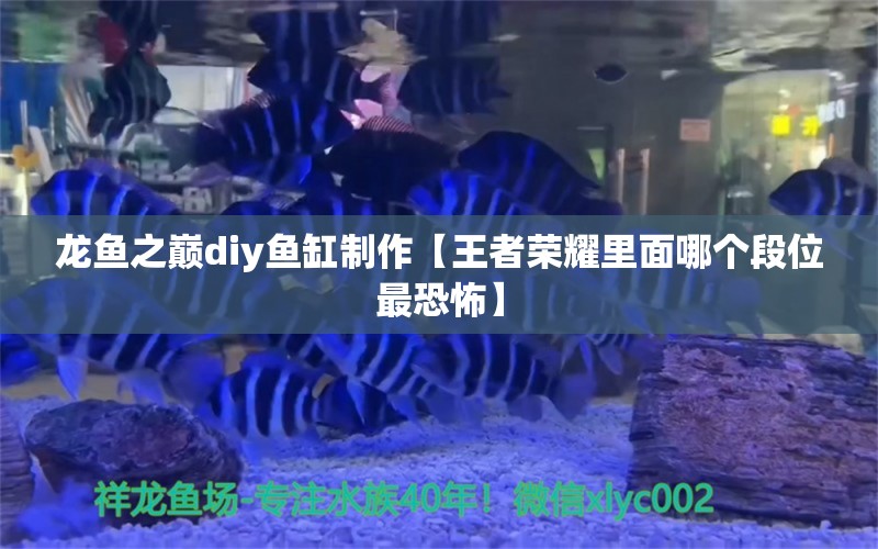 龙鱼之巅diy鱼缸制作【王者荣耀里面哪个段位最恐怖】 龙鱼批发