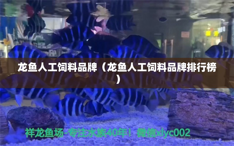 龙鱼人工饲料品牌（龙鱼人工饲料品牌排行榜） 观赏鱼市场（混养鱼）