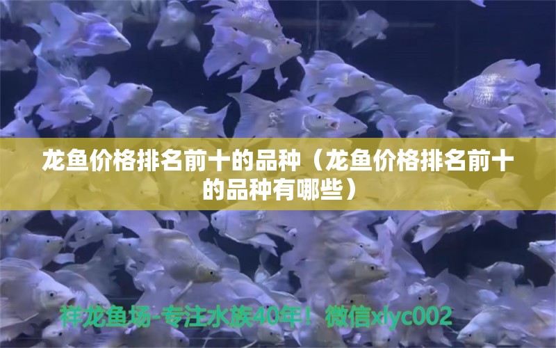 龙鱼价格排名前十的品种（龙鱼价格排名前十的品种有哪些）