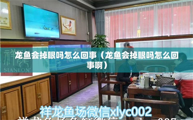 龙鱼会掉眼吗怎么回事（龙鱼会掉眼吗怎么回事啊） 广州龙鱼批发市场