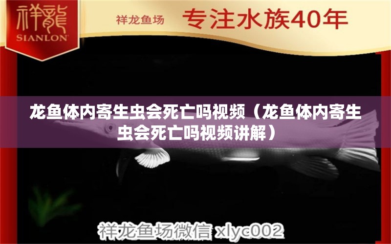 龙鱼体内寄生虫会死亡吗视频（龙鱼体内寄生虫会死亡吗视频讲解）