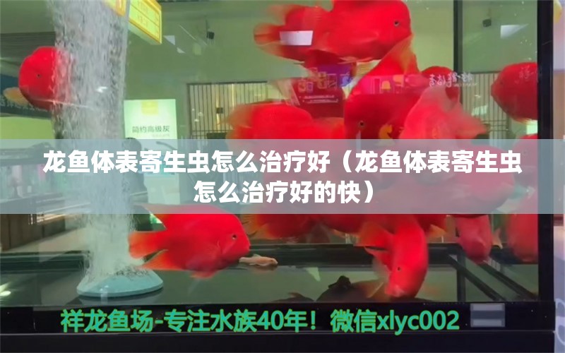 龙鱼体表寄生虫怎么治疗好（龙鱼体表寄生虫怎么治疗好的快） 龙鱼疾病与治疗