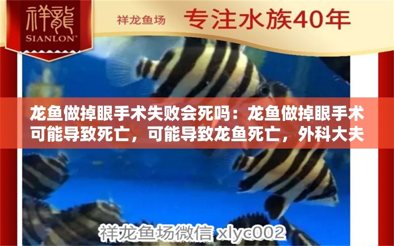 龙鱼做掉眼手术失败会死吗：龙鱼做掉眼手术可能导致死亡，可能导致龙鱼死亡，外科大夫大夫