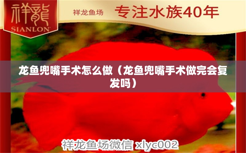 龙鱼兜嘴手术怎么做（龙鱼兜嘴手术做完会复发吗） 祥龙赫舞红龙鱼