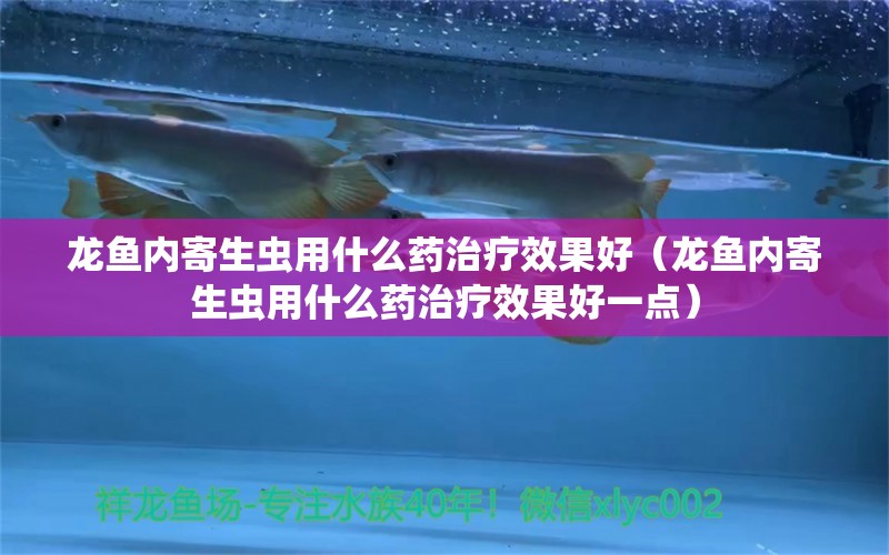 龙鱼内寄生虫用什么药治疗效果好（龙鱼内寄生虫用什么药治疗效果好一点）