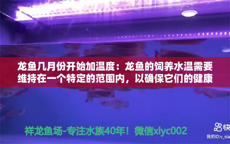 龙鱼几月份开始加温度：龙鱼的饲养水温需要维持在一个特定的范围内，以确保它们的健康和生长 龙鱼百科 第2张