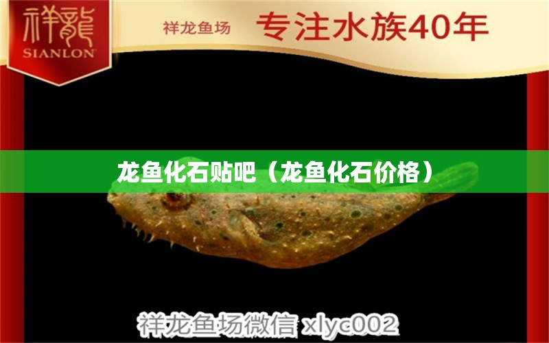 龙鱼化石贴吧（龙鱼化石价格） 祥龙水族医院