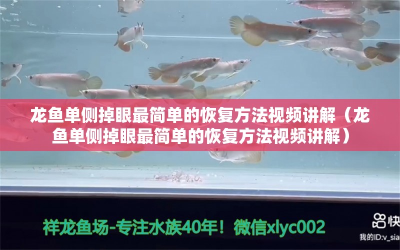 龙鱼单侧掉眼最简单的恢复方法视频讲解（龙鱼单侧掉眼最简单的恢复方法视频讲解）