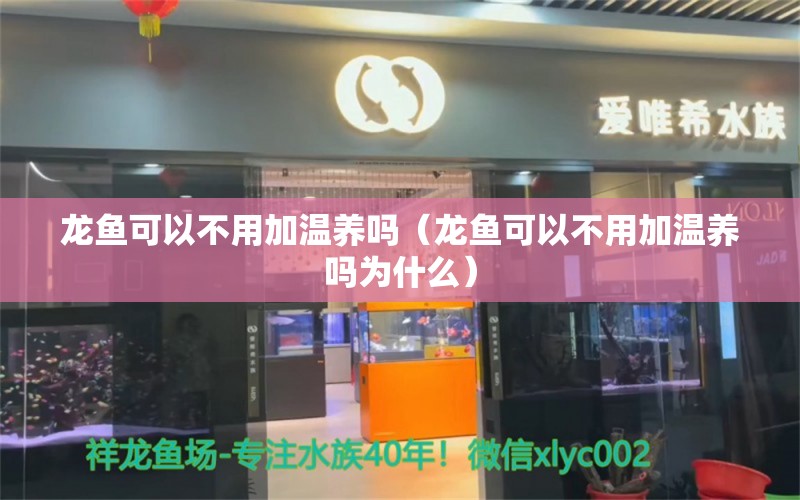 龙鱼可以不用加温养吗（龙鱼可以不用加温养吗为什么） 广州龙鱼批发市场