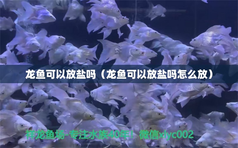 龙鱼可以放盐吗（龙鱼可以放盐吗怎么放）