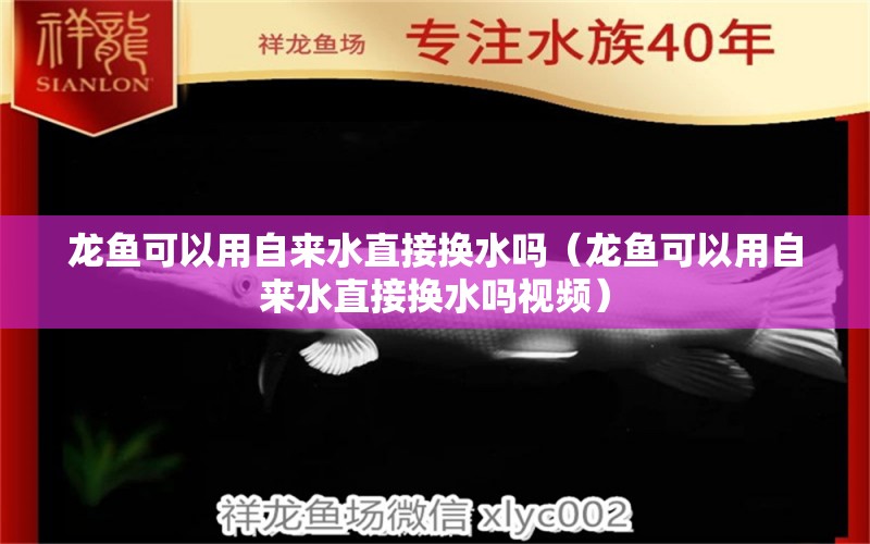 龙鱼可以用自来水直接换水吗（龙鱼可以用自来水直接换水吗视频）