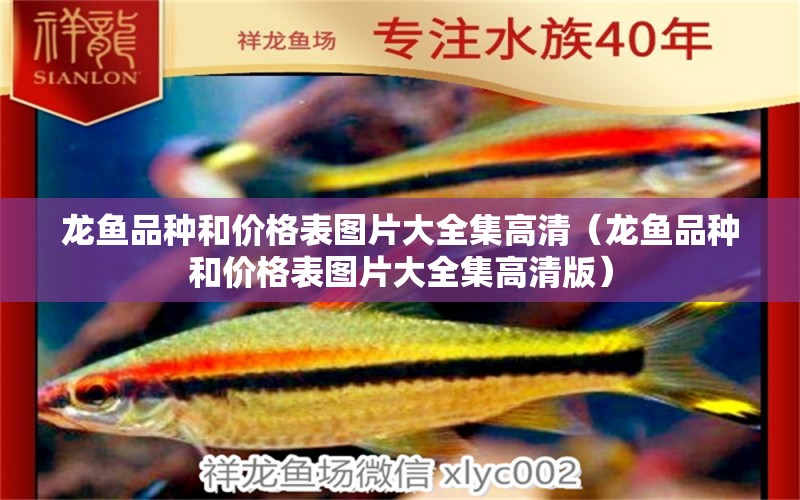 龙鱼品种和价格表图片大全集高清（龙鱼品种和价格表图片大全集高清版）