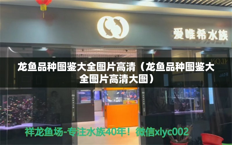 龙鱼品种图鉴大全图片高清（龙鱼品种图鉴大全图片高清大图） 龙鱼疾病与治疗