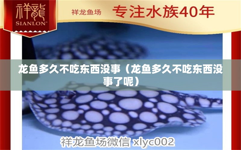 龙鱼多久不吃东西没事（龙鱼多久不吃东西没事了呢） 广州龙鱼批发市场