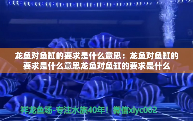 龙鱼对鱼缸的要求是什么意思：龙鱼对鱼缸的要求是什么意思龙鱼对鱼缸的要求是什么 龙鱼百科 第2张