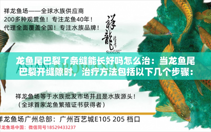 龙鱼尾巴裂了条缝能长好吗怎么治：当龙鱼尾巴裂开缝隙时，治疗方法包括以下几个步骤： 龙鱼百科 第2张