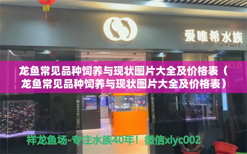 龙鱼常见品种饲养与现状图片大全及价格表（龙鱼常见品种饲养与现状图片大全及价格表）