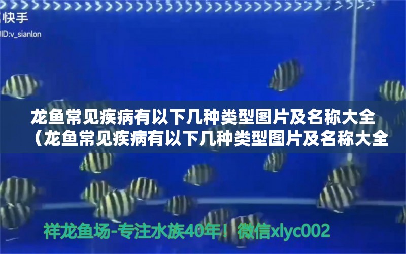 龙鱼常见疾病有以下几种类型图片及名称大全（龙鱼常见疾病有以下几种类型图片及名称大全图解）