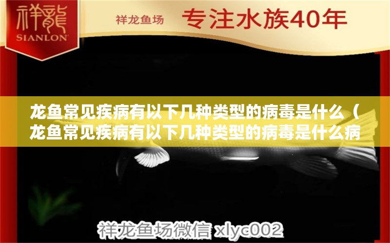 龙鱼常见疾病有以下几种类型的病毒是什么（龙鱼常见疾病有以下几种类型的病毒是什么病）