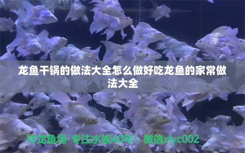 龙鱼干锅的做法大全怎么做好吃龙鱼的家常做法大全 银龙鱼