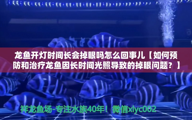 龙鱼开灯时间长会掉眼吗怎么回事儿【如何预防和治疗龙鱼因长时间光照导致的掉眼问题？】