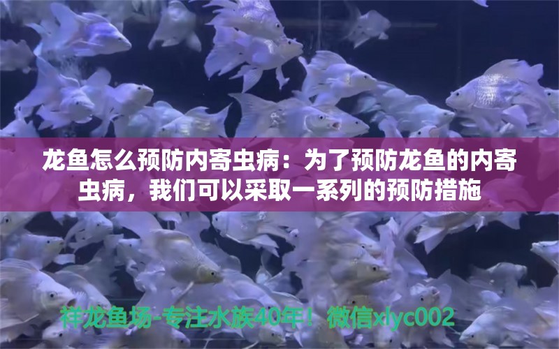 龙鱼怎么预防内寄虫病：为了预防龙鱼的内寄虫病，我们可以采取一系列的预防措施 龙鱼百科 第2张