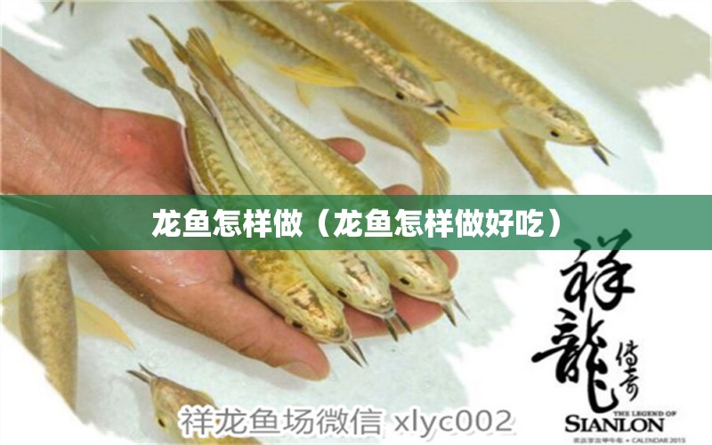 龙鱼怎样做（龙鱼怎样做好吃） 广州龙鱼批发市场