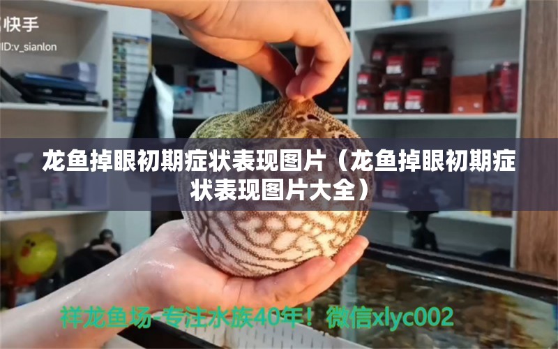 龙鱼掉眼初期症状表现图片（龙鱼掉眼初期症状表现图片大全） 龙鱼疾病与治疗