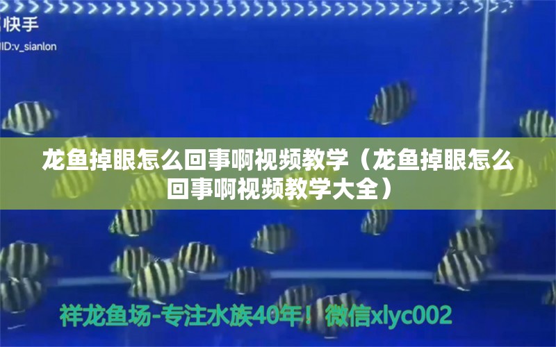 龙鱼掉眼怎么回事啊视频教学（龙鱼掉眼怎么回事啊视频教学大全）