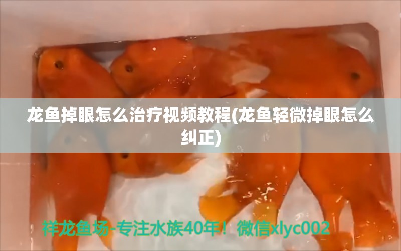 龙鱼掉眼怎么治疗视频教程(龙鱼轻微掉眼怎么纠正)