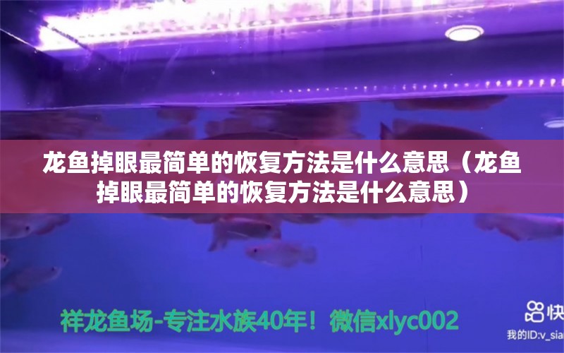 龙鱼掉眼最简单的恢复方法是什么意思（龙鱼掉眼最简单的恢复方法是什么意思）