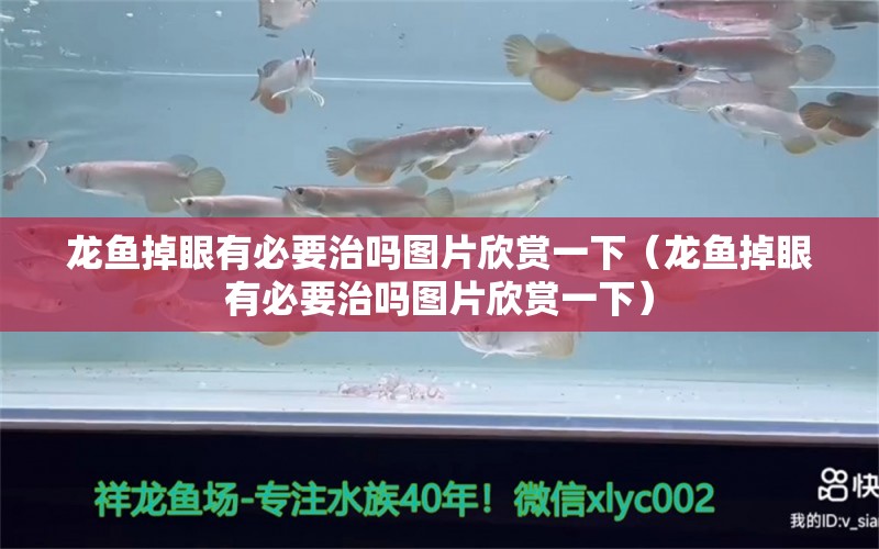 龙鱼掉眼有必要治吗图片欣赏一下（龙鱼掉眼有必要治吗图片欣赏一下）