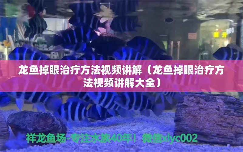 龙鱼掉眼治疗方法视频讲解（龙鱼掉眼治疗方法视频讲解大全）