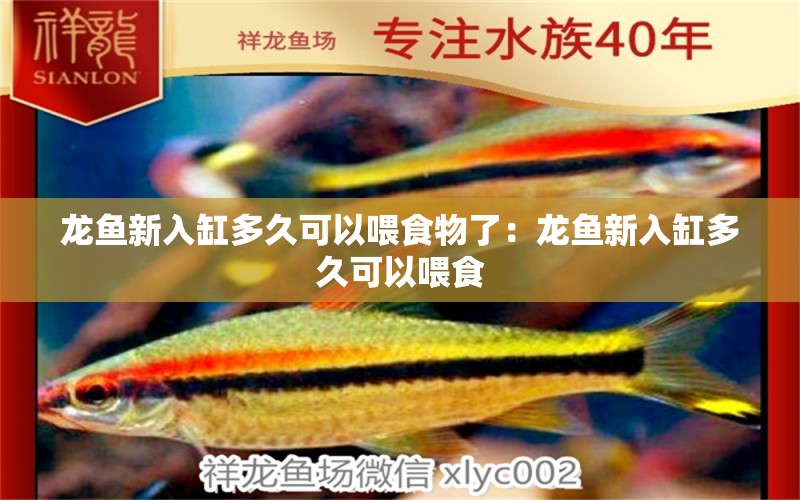 龙鱼新入缸多久可以喂食物了：龙鱼新入缸多久可以喂食 龙鱼百科 第2张