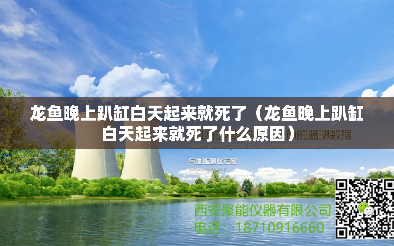 龙鱼晚上趴缸白天起来就死了（龙鱼晚上趴缸白天起来就死了什么原因） 观赏鱼市场（混养鱼）