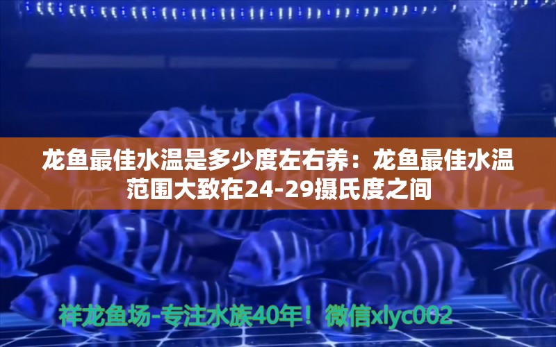 龙鱼最佳水温是多少度左右养：龙鱼最佳水温范围大致在24-29摄氏度之间