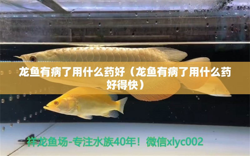龙鱼有病了用什么药好（龙鱼有病了用什么药好得快） 广州龙鱼批发市场