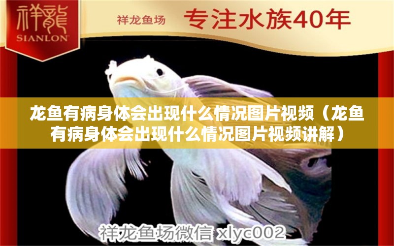 龙鱼有病身体会出现什么情况图片视频（龙鱼有病身体会出现什么情况图片视频讲解）